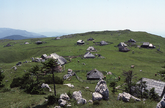 larger huts1